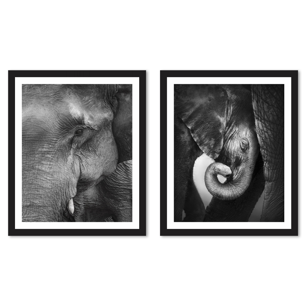 Kit quadros Decorativos Elefante Preto e Branco
