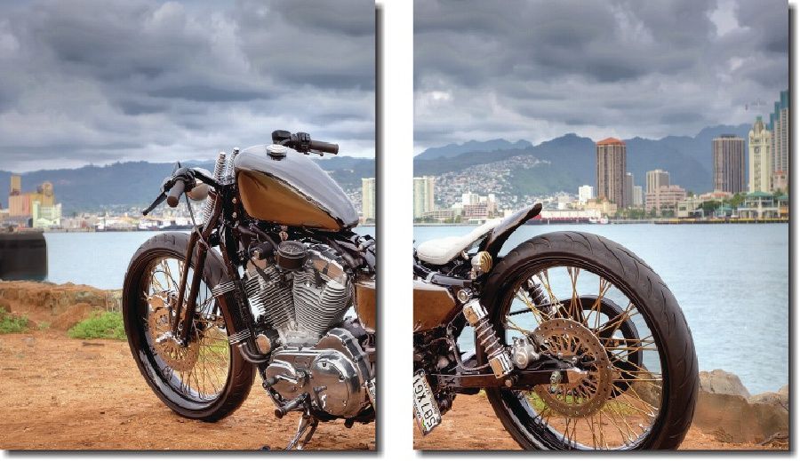 Quadro Decorativo Moto Harley Davidson 2 Peças