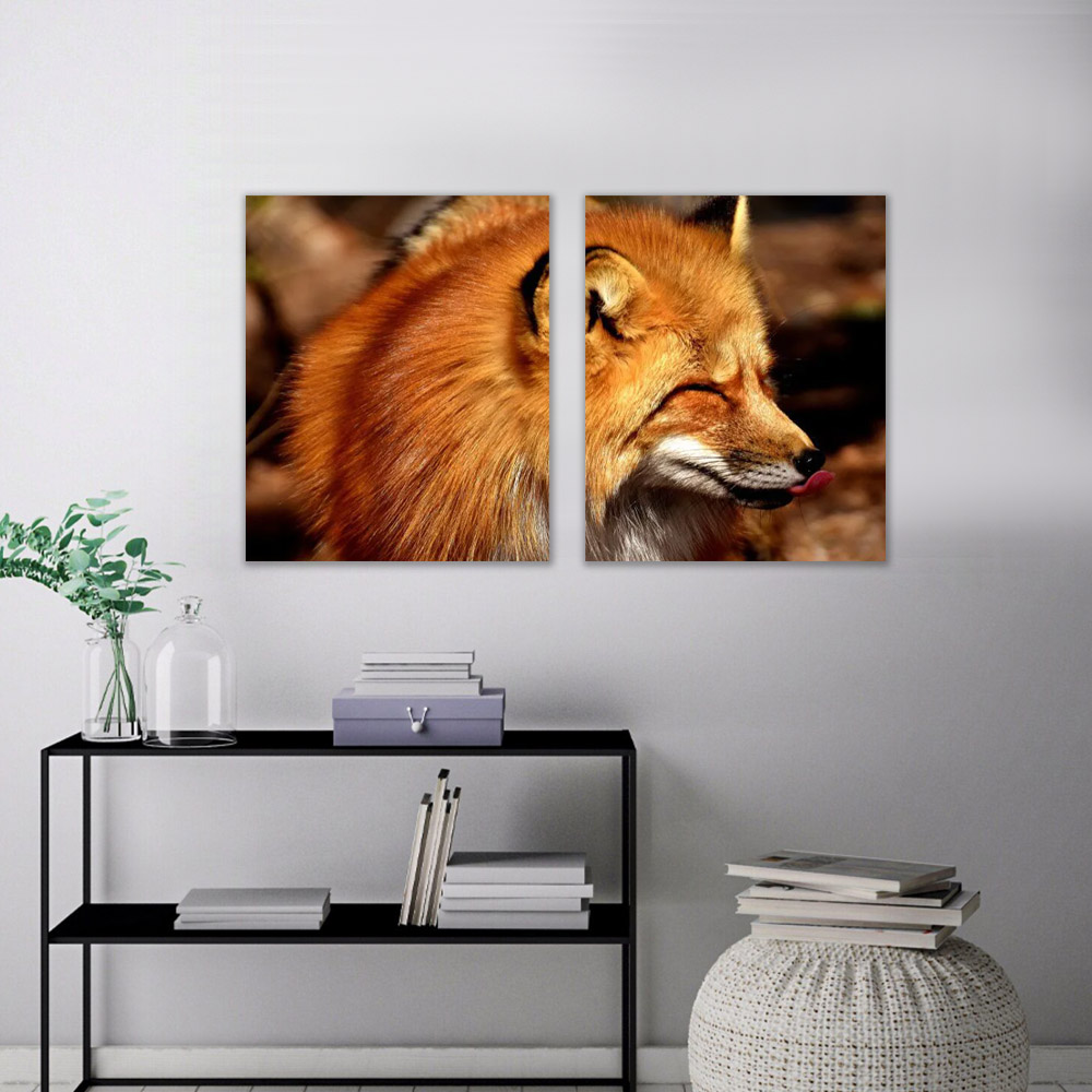 Quadro Decorativos Raposa Fox Varias Peças Para Sala