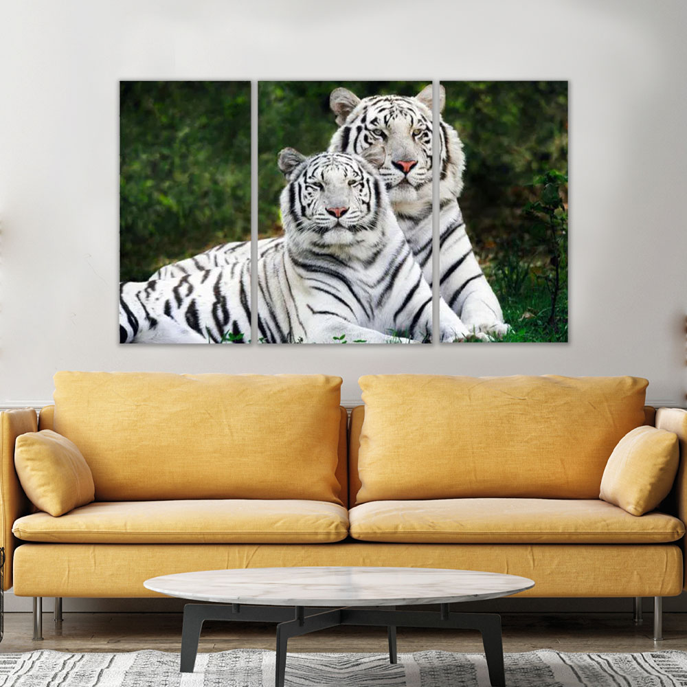 quadro  tigre branco casal  para decoração  3 peças