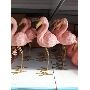 Enfeite Flamingo Resina Estátua 25cm