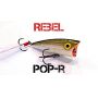 Isca Artificial Rebel Popper Pop-R P60