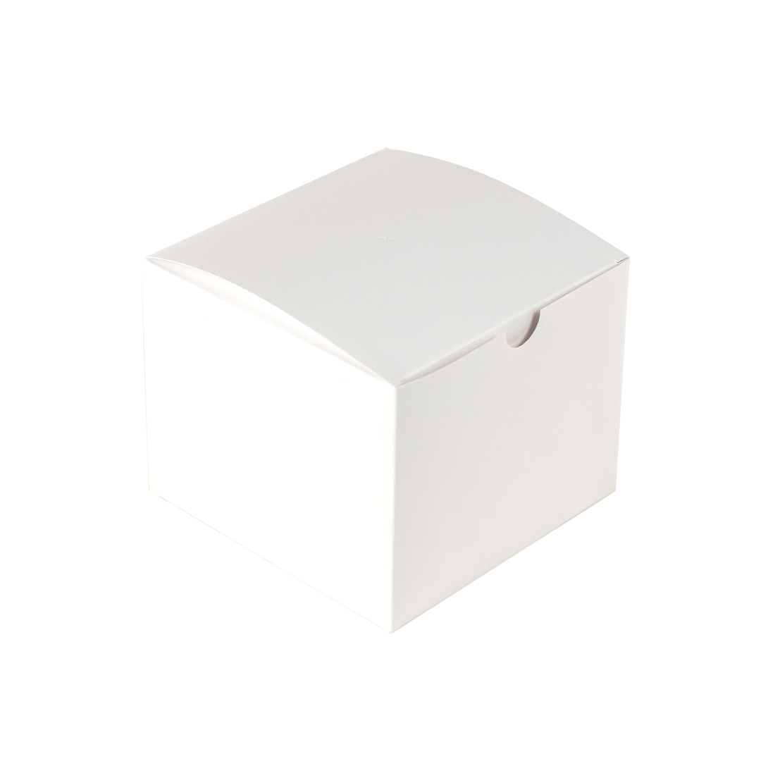 Box | Embalagem para Hambúrguer Delivery EXTRA GRANDE BRANCO