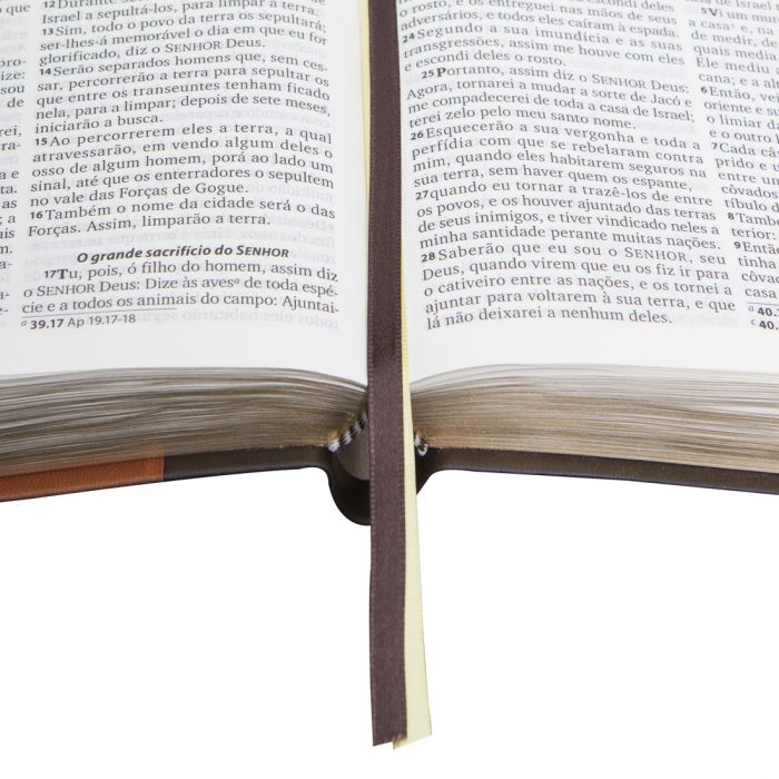 Bíblia do Obreiro | RA | Letra Grande | Marrom
