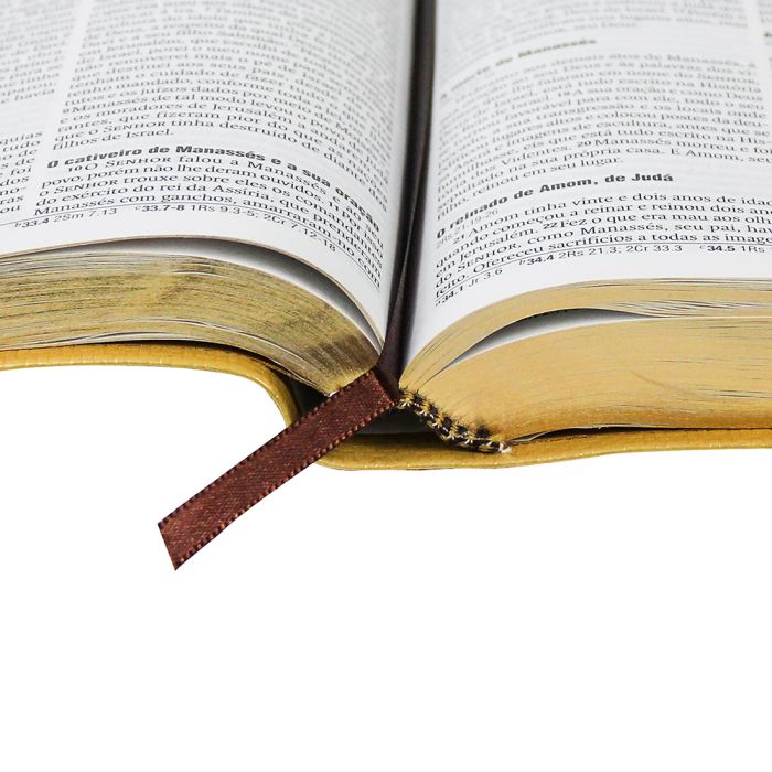 Bíblia Sagrada Leão Dourado | NAA | Letra Grande