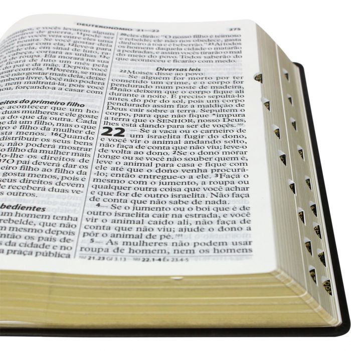 Bíblia Sagrada Letra Extra gigante | NTLH