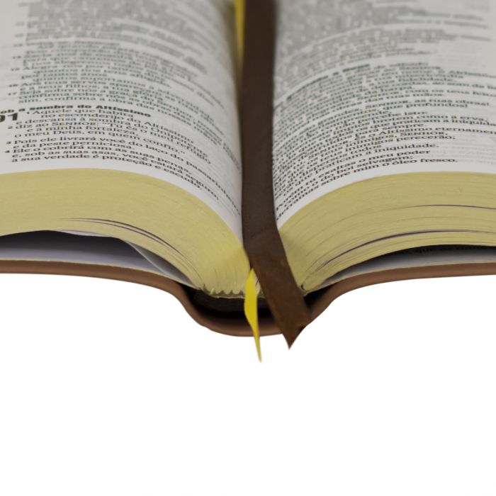 Bíblia Sagrada Linha Ouro | NAA | Caramelo
