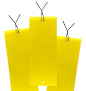 Armadilha Amarela Yellow Trap Garden 5 Unidades 25cm x 10cm - Foto 2