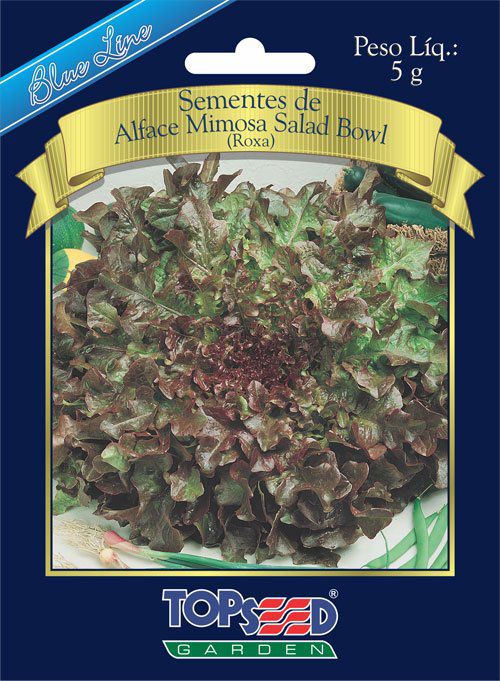 Sementes de Alface Mimosa Salad Bowl (Roxa) - Topseed Blue Line - Foto 0
