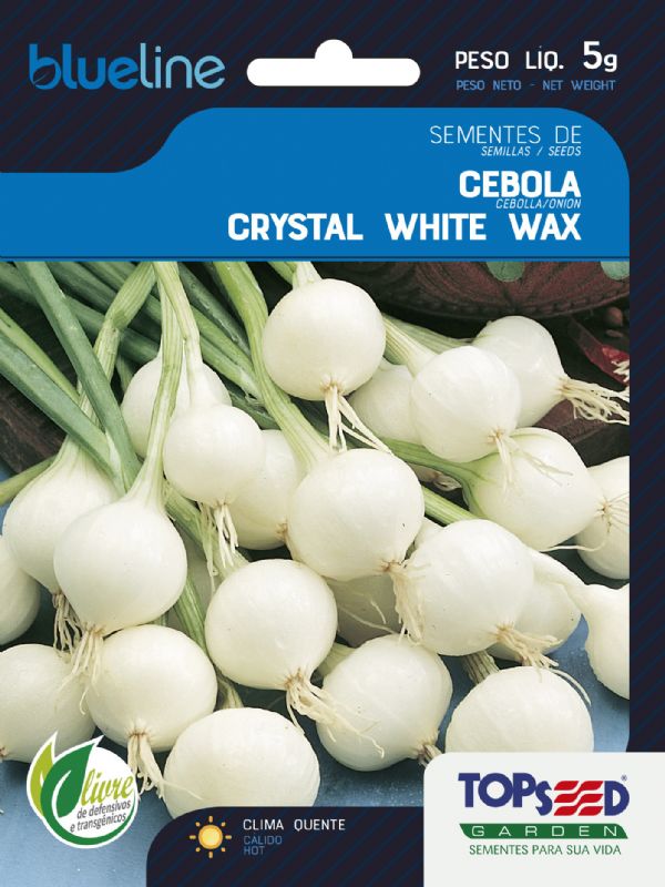 Sementes de Cebola Crystal White Wax (para conserva) 5g - Topseed Blue Line - Foto 0