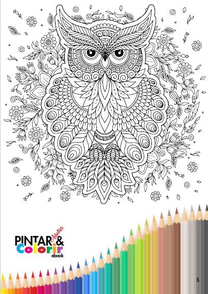 Pintar e Colorir Adultos Ed. 42 - Corujas - PRODUTO DIGITAL (PDF)