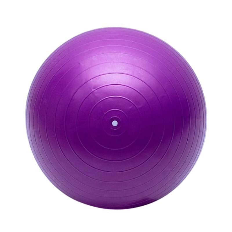 Bola Premium Suíça para Pilates 55cm com Bomba de Inflar - LiveUp  - Loja Portal