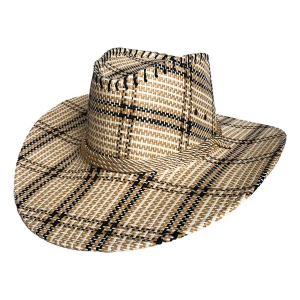 Chapéu de Cowboy Bege Festa Junina
