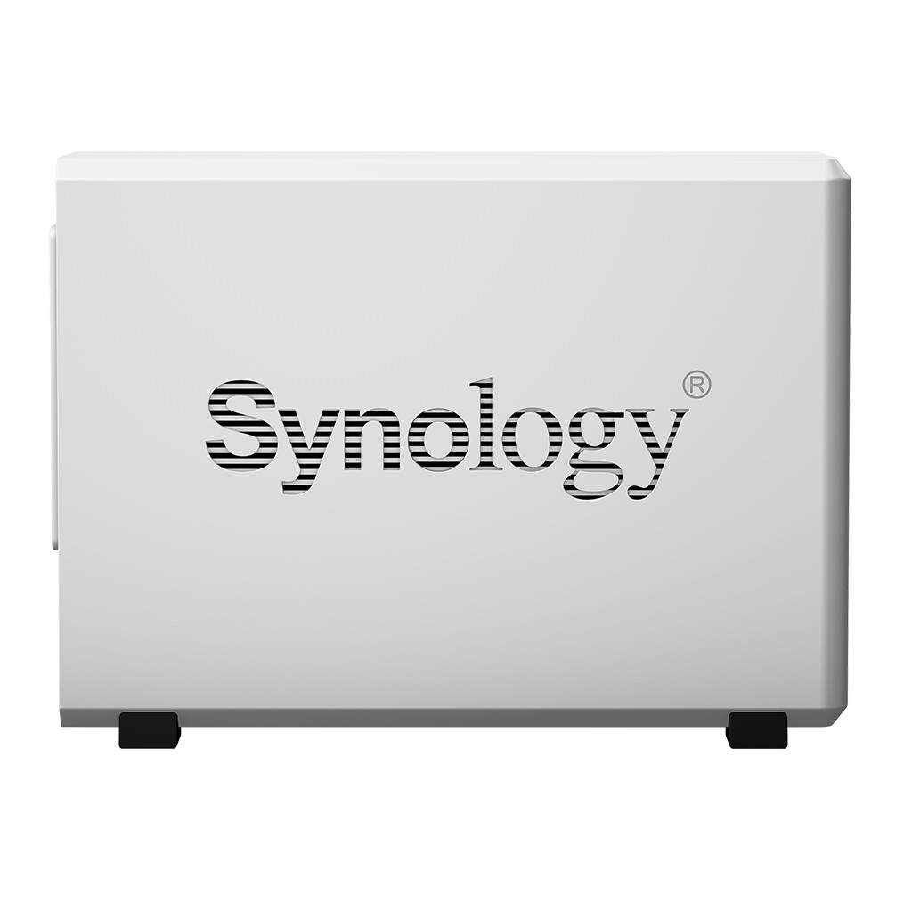 Case Synology DiskStation DS216se 0TB  - Rei dos HDs