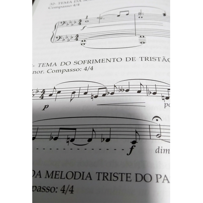 Guia do Ouvinte: Tristão e Isolda (Richard Wagner) - TM-001