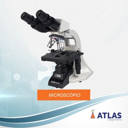 Microscopio Binocular   Acromatico L 1000 Champion LI