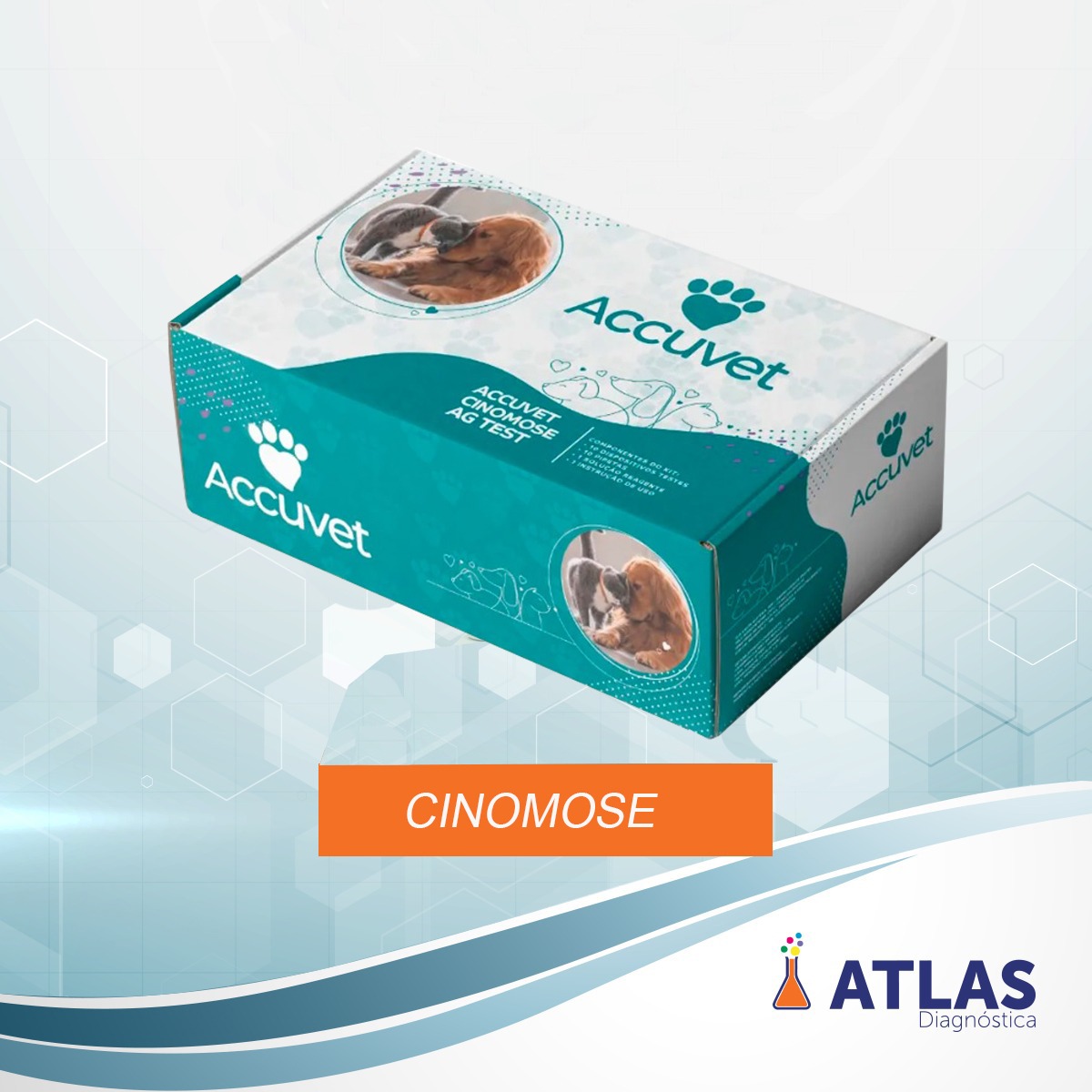 Teste Rápidos Cinomose AG Accuvet 10T  - Atlas Diagnóstica