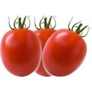 Sementes De Tomate Italiano Para Molhos  