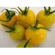100 Sementes De Tomate Cereja Yashi Amarelo