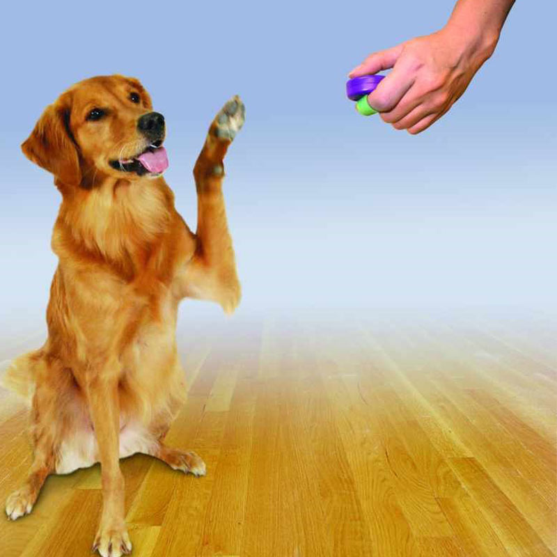 Clikr Adestrador Clik-R Cachorros Adestramento para Cães