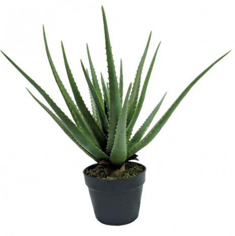 Planta Artificial Aloe 55cm - Arrivo Mobile