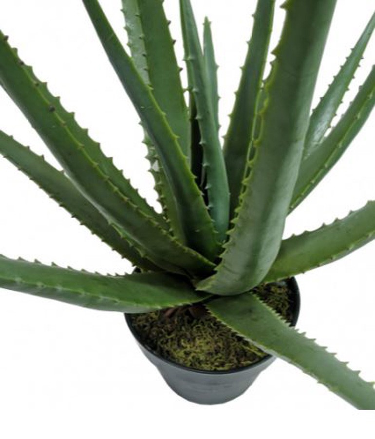 Planta Artificial Aloe 55cm - Arrivo Mobile