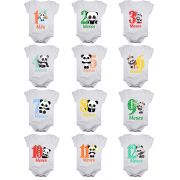 Kit body de bebê mesversario manga curta panda 12 bodies 1 a 12 meses