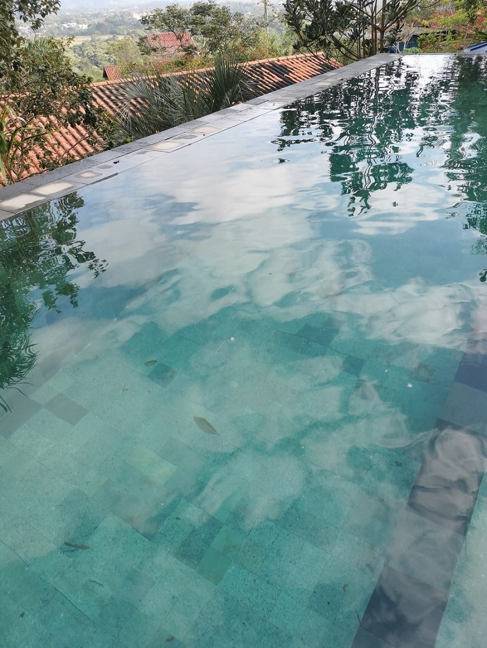 Pedra Hijau 10 x10 cm para piscina