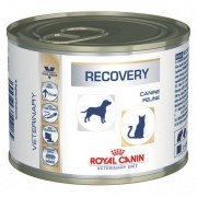 Alimento Úmido Recovery Lata Royal Canin Cães E Gatos 195g
