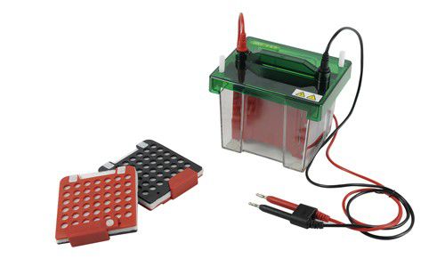 Eletroblotter 10cm x 10cm - Para 2 transferências (Sistema para Eletroblotting) - Modelo: DG-BLOT