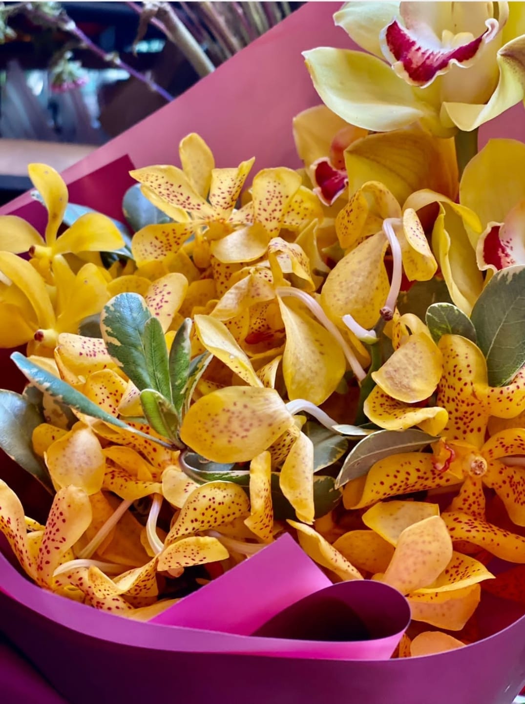 Bouquet de Orquídeas