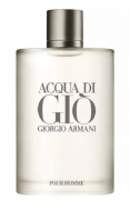 Perfume Acqua Di Gio Giorgio Armani 100ml
