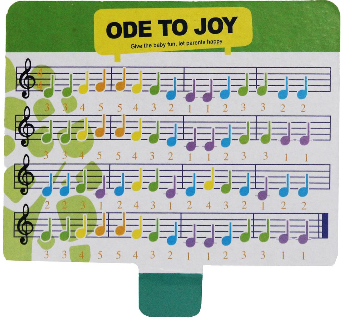 Baby Xilofone Infantil Musical  Notas Educativo Baquetinha Menino Menina Modelo ZP00526 Certificado Pelo Inmetro Colorido Didático Original Zoop Toys