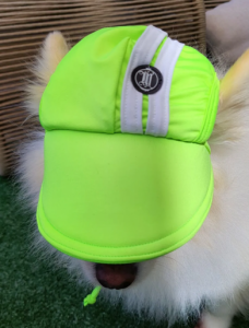Boné para Cachorro Verde Neon