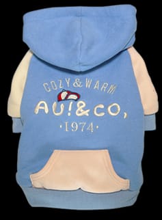 Blusa de Moletom para Cachorro 1974- Azul