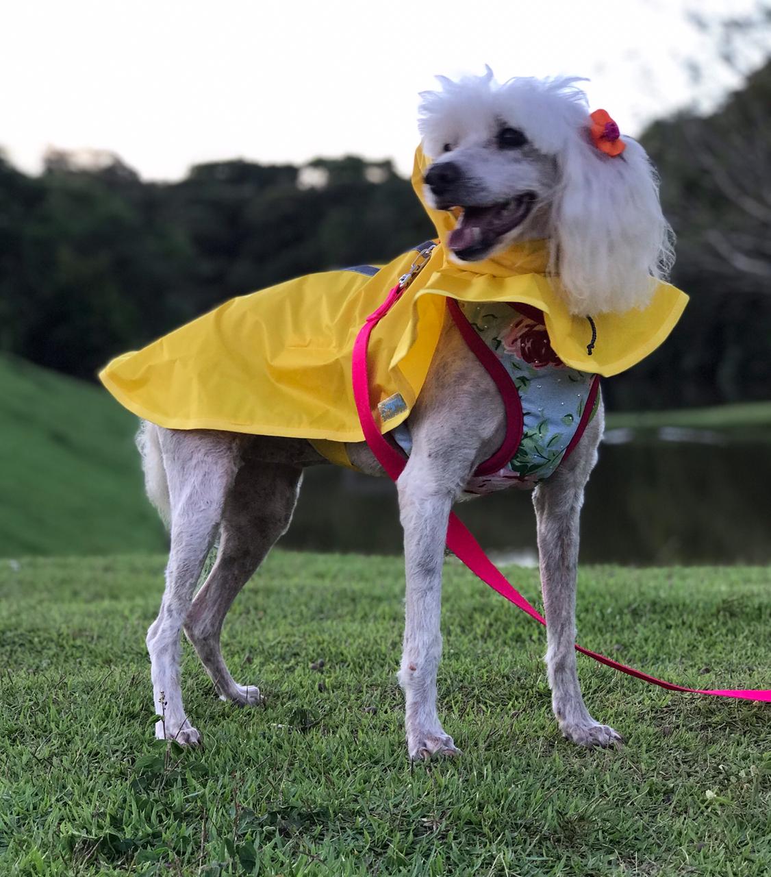 Capa de Chuva para Cachorro - Amarela