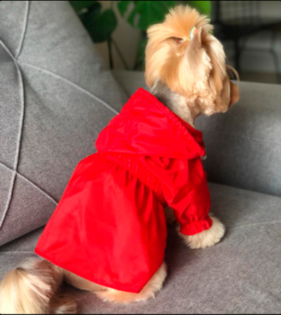 Capa de Chuva para Cachorro - Impermeável Vermelha