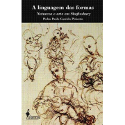 A linguagem das formas de Pedro Paulo Garrido Pimenta
