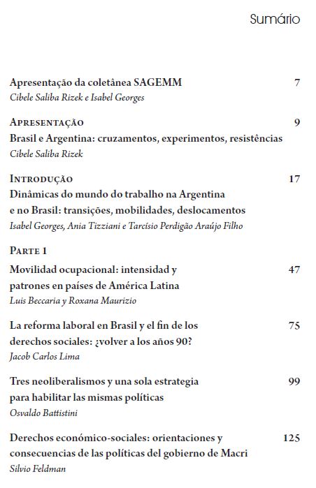 Dinâmicas do mundo do trabalho na Argentina e no Brasil, de Isabel Georges e Ania Tizziani