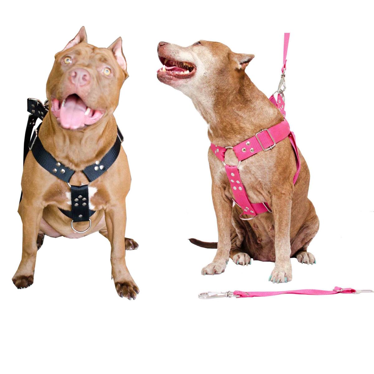 Peitoral Cachorro com Guia e Adaptador serve Pit Bull Labrador