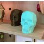 Skull - Peça Decorativa