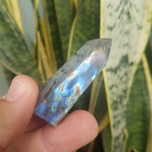 Cristal - Ponta - Labradorita - Pedra Mística