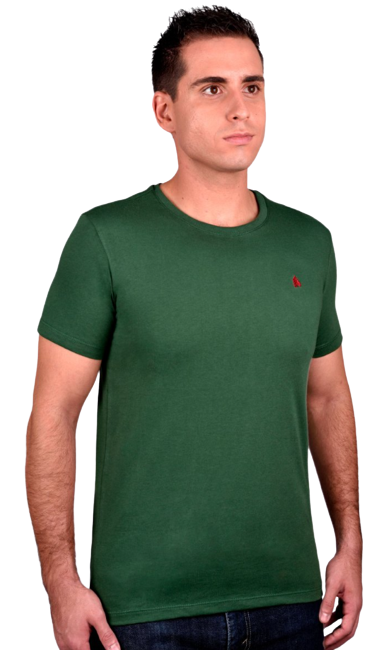 Camiseta Masculina BF///MS Verde CB005
