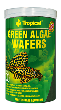 RAÇÃO TROPICAL GREEN ALGAE WAFERS - Pote 113 gr