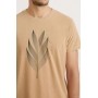 T-shirt Foxton Nature Lines - Caqui
