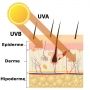 Lâmpada Ultravitalux 300W  Comprimento de onda UVA entre 315/400 nm:13.6 W  UVB entre 280/315 nm:3.0 W