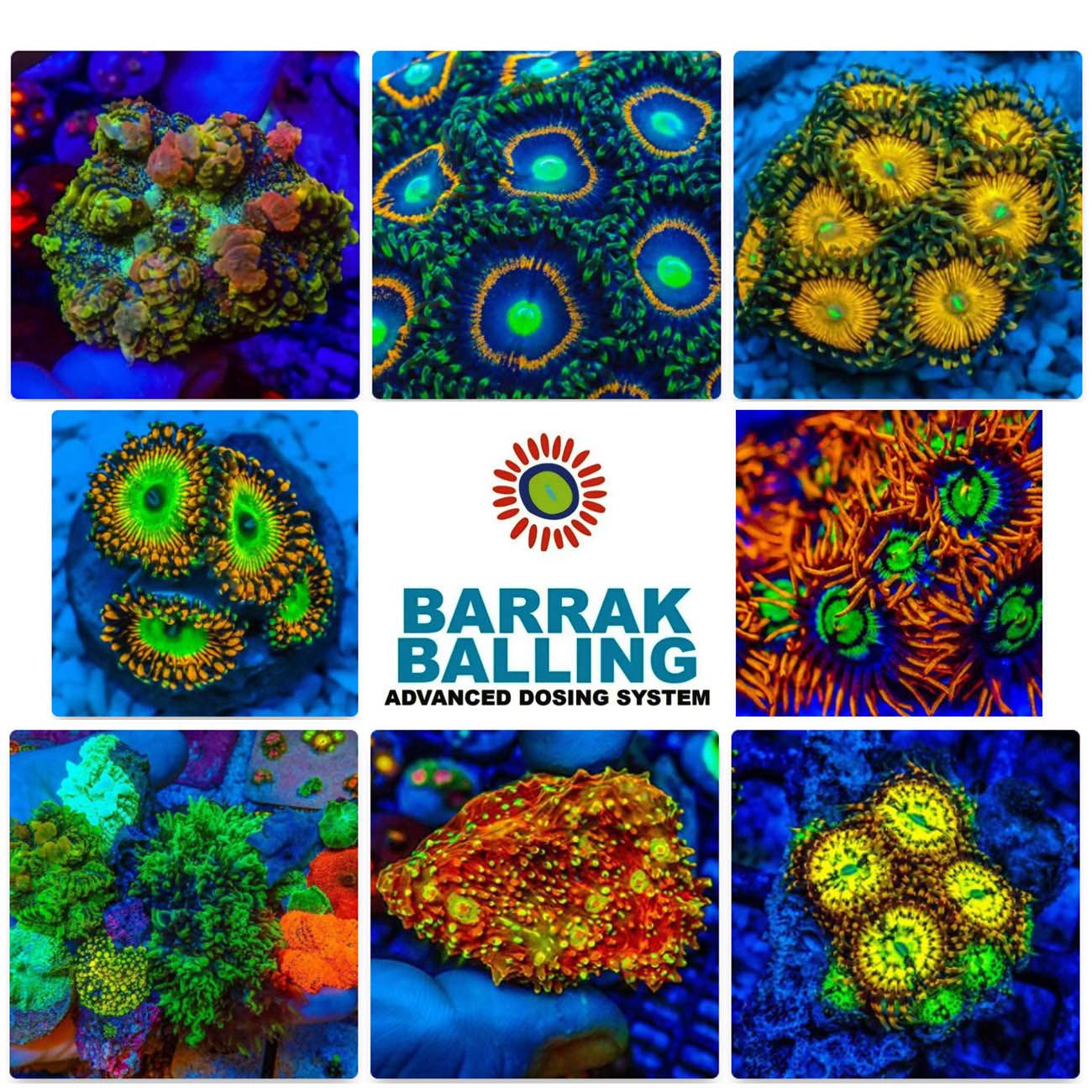 Balling Barrak 100ml Nano Pico Reef Melhor custo Benefício