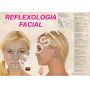 Poster Mapa com os Pontos da Reflexologia Facial