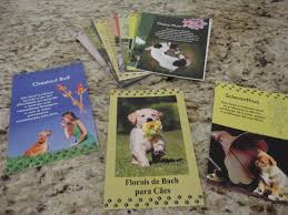 Cards Principais Florais de Bach para Cães