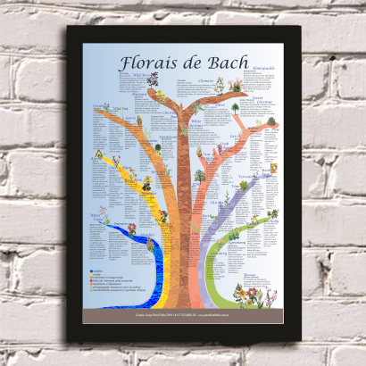 Poster - Árvore Florais de Bach
